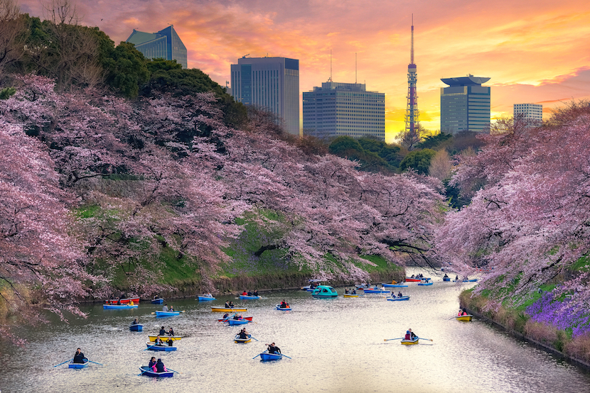 To see in japan